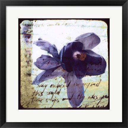 Framed Blooming Purple II Print
