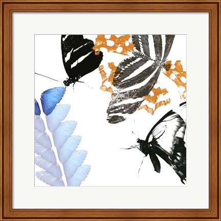 Framed Butterfly Inflorescence II Print