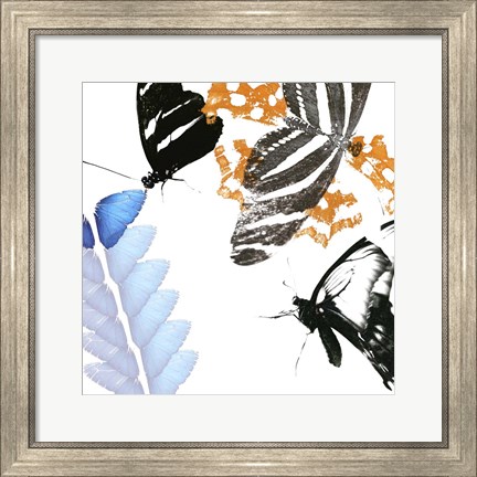 Framed Butterfly Inflorescence II Print