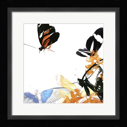 Framed Butterfly Inflorescence IV Print