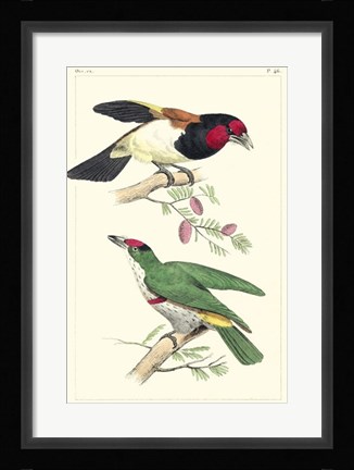 Framed Lemaire Birds III Print