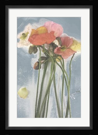 Framed Poppy Spray I Print