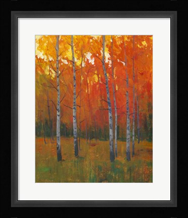 Framed Changing Colors I Print