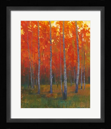Framed Changing Colors II Print