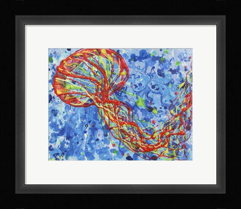 Framed Orange Sea Nettle Print