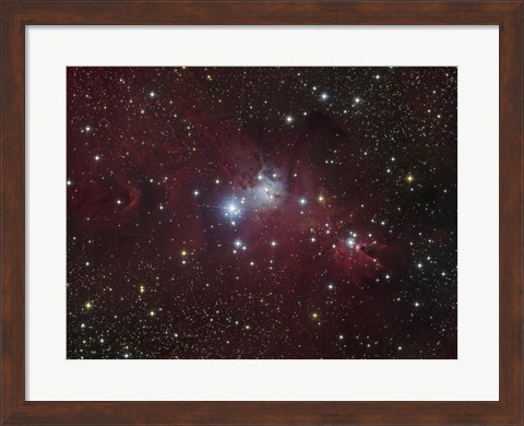 Framed NGC 2264 region showing the Cone Nebula, Christmas Tree Cluster, and Fox Fur Nebula Print