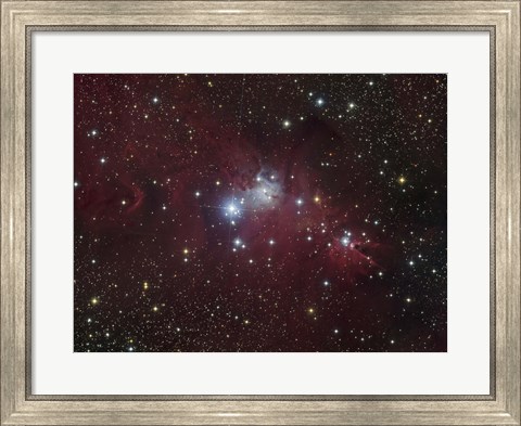 Framed NGC 2264 region showing the Cone Nebula, Christmas Tree Cluster, and Fox Fur Nebula Print
