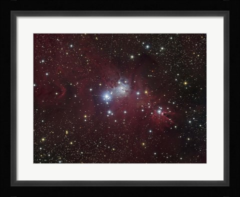 Framed NGC 2264 region showing the Cone Nebula, Christmas Tree Cluster, and Fox Fur Nebula Print