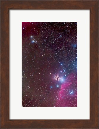 Framed Area around the Belt of Orion, with the Horsehead and Flame Nebula Print