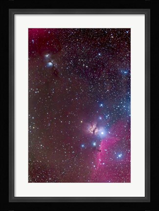 Framed Area around the Belt of Orion, with the Horsehead and Flame Nebula Print