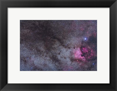 Framed North America Nebula and dark nebulae in Cygnus Print