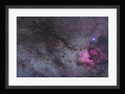Framed North America Nebula and dark nebulae in Cygnus Print