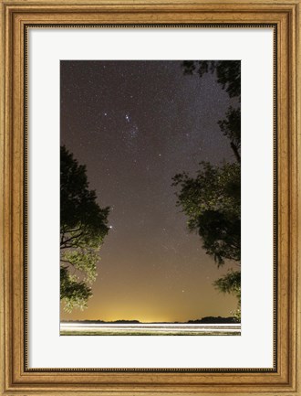 Framed Orion constellation between trees, Buenos Aires, Argentina Print
