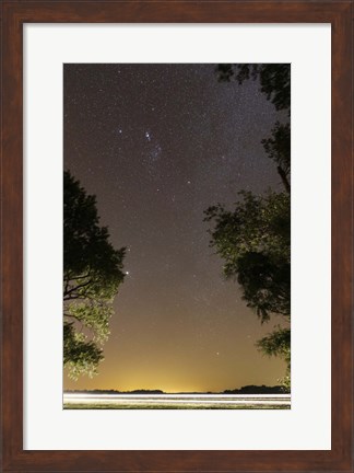 Framed Orion constellation between trees, Buenos Aires, Argentina Print