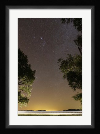 Framed Orion constellation between trees, Buenos Aires, Argentina Print