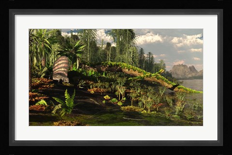 Framed Dimetrodon roams the Mid-Permian Period Print