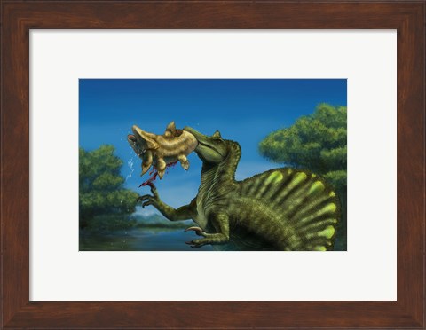 Framed Spinosaurus dinosaur fishing Mawsonias in a mangrove Print