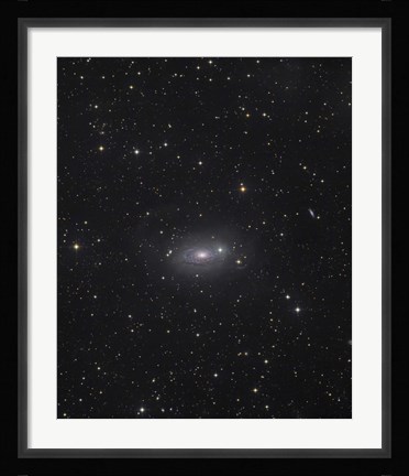 Framed Sunflower Galaxy Print