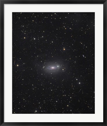 Framed Sunflower Galaxy Print