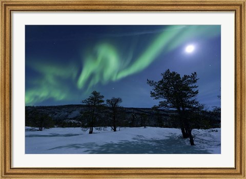 Framed Aurora Borealis, Forramarka, Troms, Norway Print