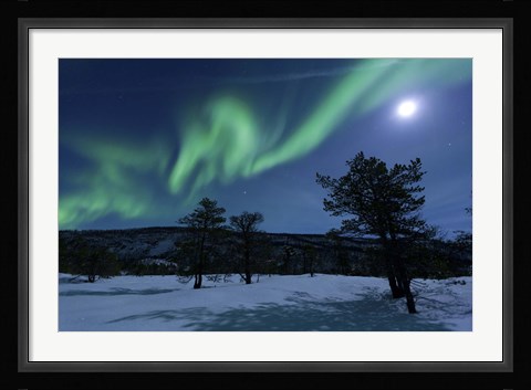 Framed Aurora Borealis, Forramarka, Troms, Norway Print