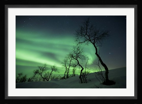 Framed Northern Lights in the arctic wilderness, Nordland, Norway Print