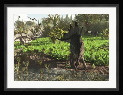 Framed group of dinosaurs roam western North America in the Late Jurassic Print