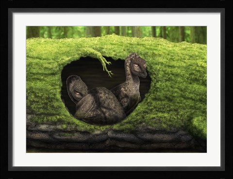 Framed pair of juvenile troodons in the hollow of a tree Print