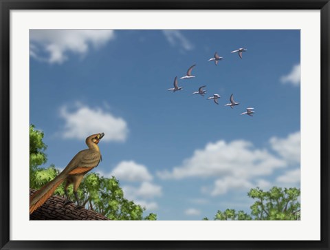 Framed Archaeopteryx observing a flock of migrating pterosaurs Print