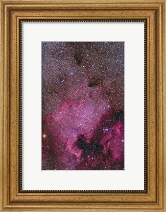 Framed NGC 7000 and the Pelican Nebula Print
