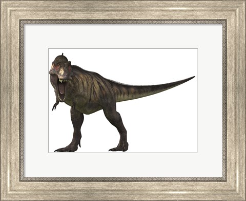 Framed Tyranosaurus Rex Print