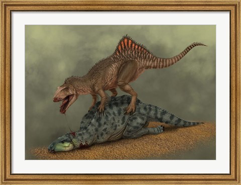 Framed Concavenator kills a young iguanodon dinosaur Print