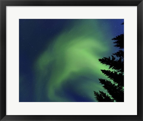 Framed Aurora Borealis in Troms County, Norway Print