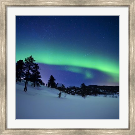 Framed Aurora Borealis and a shooting star in the woods of Troms County, Norway Print