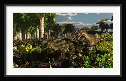 Framed Utahraptors hunting the early iguanodonts, Tenontosaurus Print