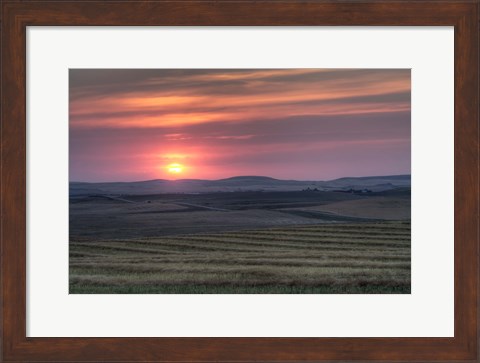 Framed Setting sun over harvested field, Gleichen, Alberta, Canada Print
