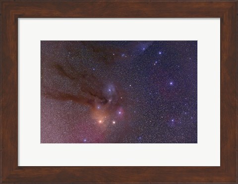 Framed Antares and Scorpius Head area with Rho Ophiuchi nebulosity Print