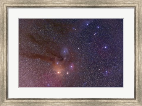 Framed Antares and Scorpius Head area with Rho Ophiuchi nebulosity Print