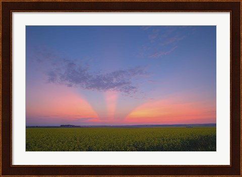 Framed Crepuscular rays at sunset, Alberta, Canada Print