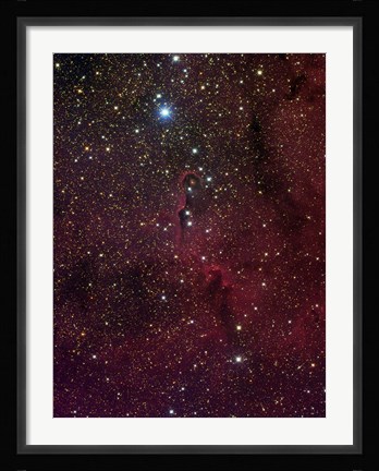 Framed Elephant's trunk nebula inside IC 1396 Print