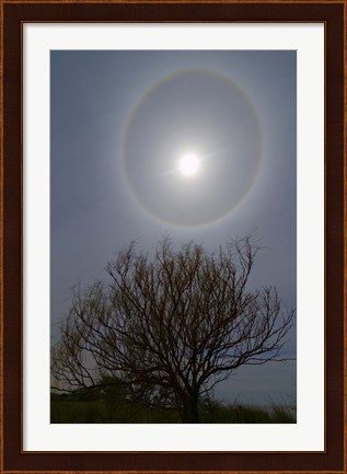 Framed 22 degrees halo around the 2013 supermoon Print