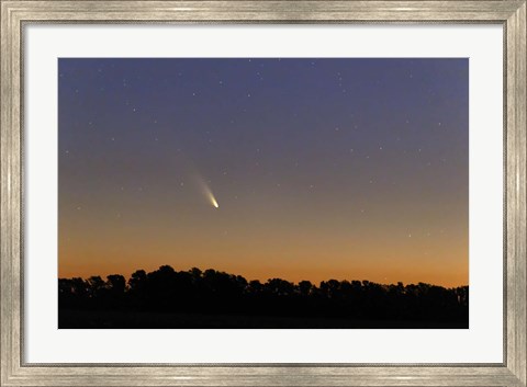 Framed Comet Panstarrs at twilight,  Buenos Aires, Argentina Print