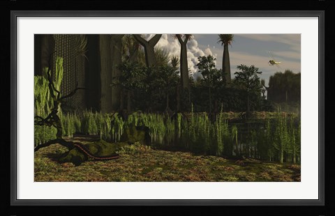 Framed Carboniferous forest of the Eastern United States 300 million years ago Print
