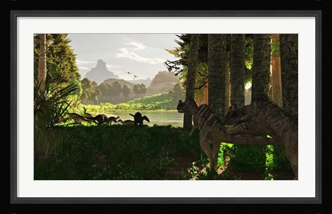 Framed Ceratosaurus dinosaurs stalk a herd of Camptosaurus eating plants Print
