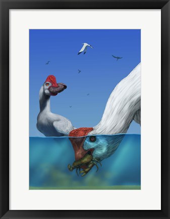 Framed Two Citipati&#39;s hunting crabs Print