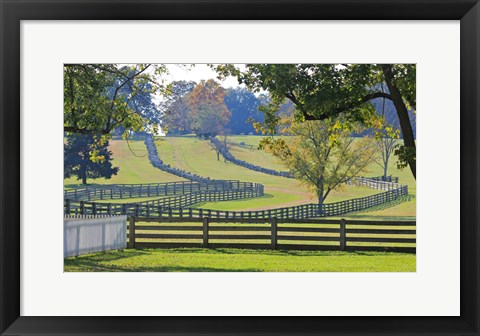 Framed Stacked Split-Rail Fences in Appomattox, Virginia Print