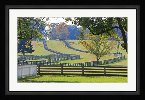 Framed Stacked Split-Rail Fences in Appomattox, Virginia Print