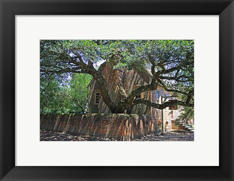 Framed Colonial Architechture Print