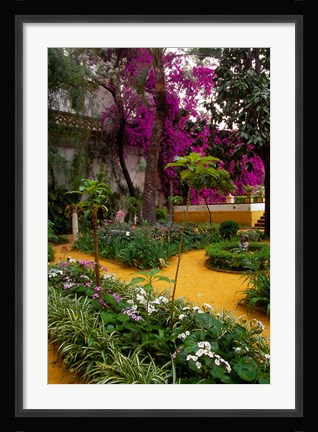 Framed Garden Courtyard, Marrakech, Morocco Print