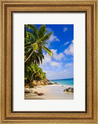 Framed Anse Victorin Beach, Fregate Island, Seychelles Print
